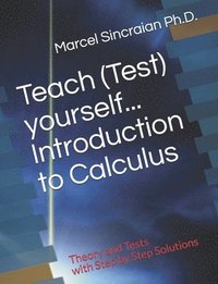 bokomslag Teach (Test) yourself...Introduction to Calculus