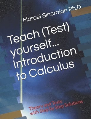 bokomslag Teach (Test) yourself...Introduction to Calculus