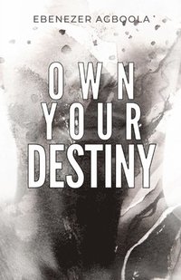 bokomslag Own Your Destiny