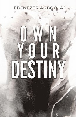 Own Your Destiny 1