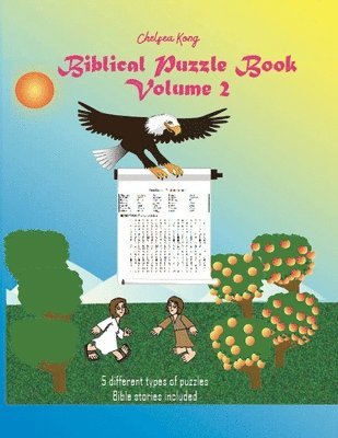 bokomslag BIblical Puzzle Book Volume 2
