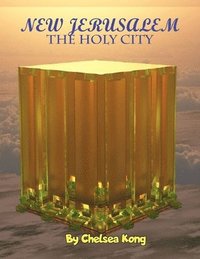 bokomslag New Jerusalem