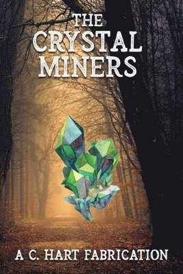bokomslag Crystal Miners