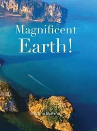 bokomslag Magnificent Earth
