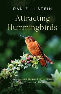 bokomslag Attracting Hummingbirds