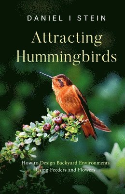 bokomslag Attracting Hummingbirds