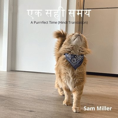 Sam Miller - एक सही समय, Häftad