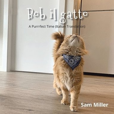 Sam Miller - Bob il gatto, Häftad