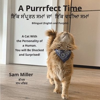 Sam Miller - ਇੱਕ ਸੰਪੂਰਨ ਸਮਾਂ ਜਾਂ ਇੱਕ ਵਧੀਆ ਸਮਾਂ - A Purrrfect Time, Häftad