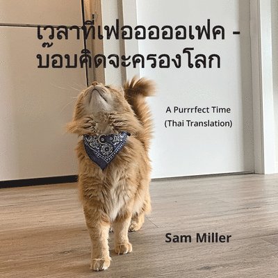 เวลาที่เฟอออออเฟค - บ๊อบคิดจะครองโลก - A Purrrfect Time (T
