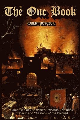 bokomslag One Book
