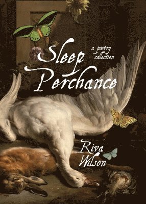 Sleep Perchance 1