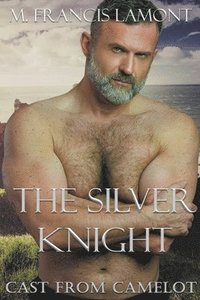 bokomslag The Silver Knight