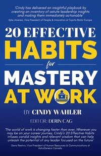 bokomslag 20 Effective Habits for Mastery at Work
