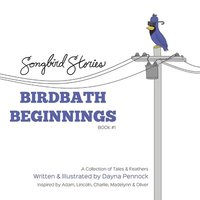 bokomslag Birdbath Beginnings