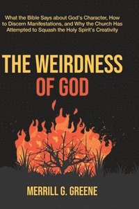 bokomslag The Weirdness of God