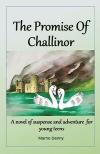 bokomslag Promise Of Challinor