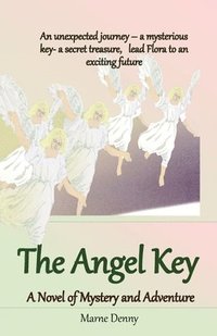 bokomslag Angel Key