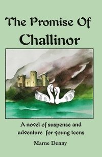 bokomslag Promise Of Challinor