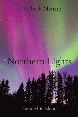 bokomslag Northern Lights