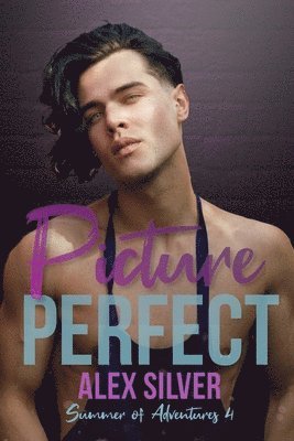 Alex Silver - Picture Perfect, Häftad