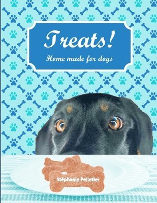 bokomslag Treats! Home made for dogs