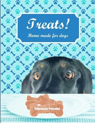 Treats! Home made for dogs 1
