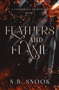 bokomslag Feathers and Flame