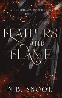 bokomslag Feathers and Flame