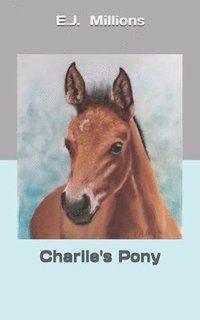 bokomslag Charlie's Pony