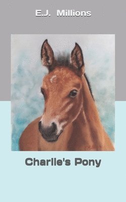 Charlie's Pony 1