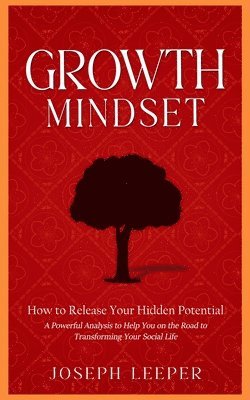 bokomslag Growth Mindset