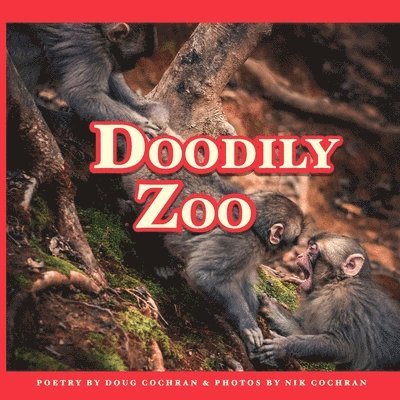 Douglas Cochran - Doodily Zoo, Häftad