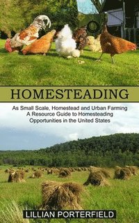 bokomslag Homesteading