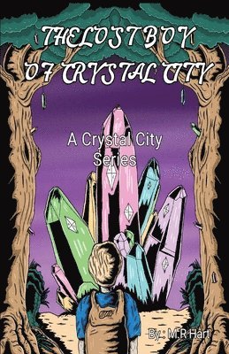 bokomslag Lost Boy of Crystal City