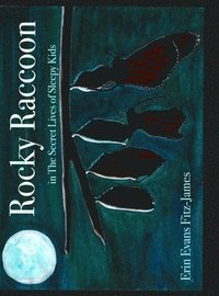 bokomslag Rocky Raccoon