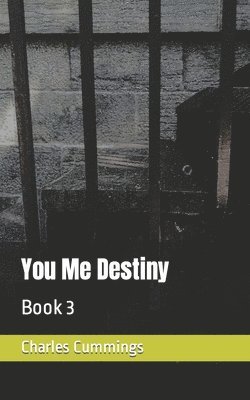 Charles Cummings - You Me Destiny, Häftad