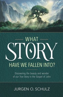 Jurgen Schulz - What Story Have We Fallen Into?, Häftad