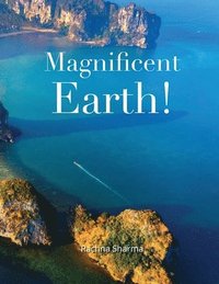 bokomslag Magnificent Earth