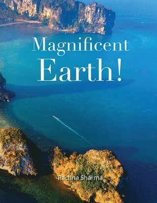 bokomslag Magnificent Earth