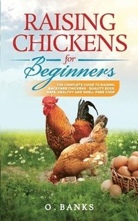 bokomslag Raising Chickens for Beginners