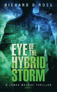 bokomslag Eye of the Hybrid Storm