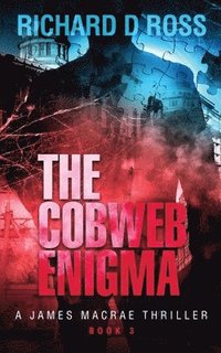 bokomslag Cobweb Enigma
