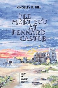 bokomslag I'll Meet You at Pennard Castle