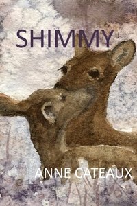 bokomslag Shimmy