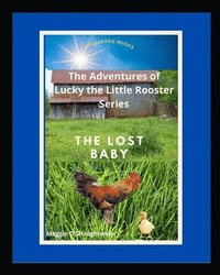 bokomslag The Lost Baby