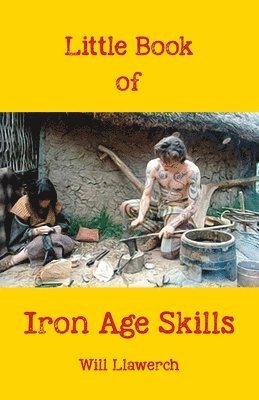 Will Llawerch - Little book of Iron Age Skills, Häftad