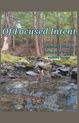 bokomslag Of Focused Intent