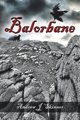 bokomslag Balorbane