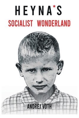 bokomslag Heyna's Socialist Wonderland